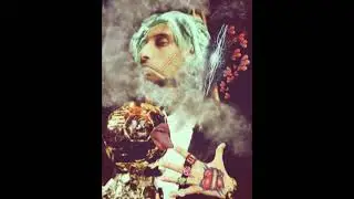 WILO SAVAGE - CAMPIONE DELLA NOTTE  