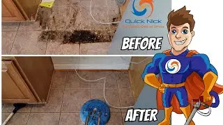 professional tile and grout cleaning services
