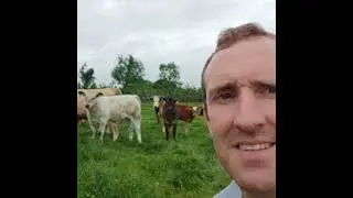 Galway farmer, Aonghusa Fahy on preparing for calving, calving the cow and caring for the newborn...