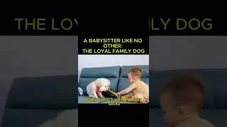 Dog is the Best Babysitter! 🐶❤️👶#DogLover#DogBabysitter #BabyAndDogLove #DogsAndBabies  #Companion