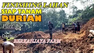 BENAHI LAHAN KEBUN DURIAN SISTEM TERASERING DI KEBUN BERKAHJAYAFARM | AGAR PERTUMBUHANNYA  CEPAT