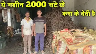 2025 me Gaon Ke liye business |  Binola Khal Ka Business Ideas 2024 Cotton Seeds Cake Small Business