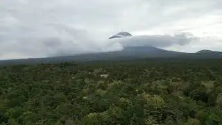 Aokigahara Round 11
