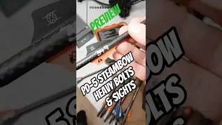 Предварительный обзор винтовки PD-5 Steambow 
