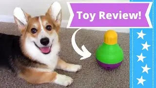 Starmark Bob-a-Lot Treat Dispensing Toy // TOY REVIEW