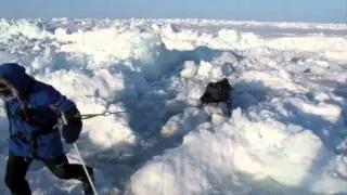 PNA_2010_Official_Video