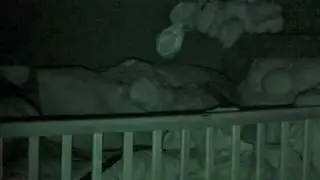 Andy Sleep Rocking and Head Banging