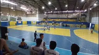A.e.mvii x AAPB 