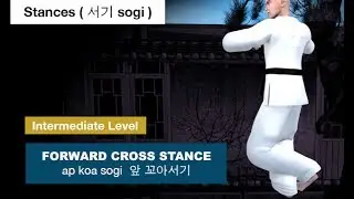 Taekwondo - Forward Cross Stance ( 앞 꼬아서기 ap koa sogi )