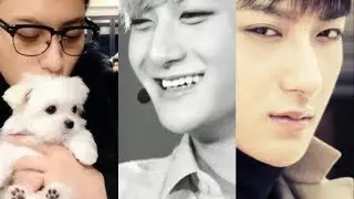 TAO VINES !! ( merry christmas )