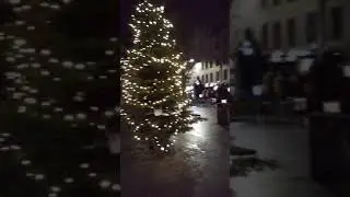 Christmas Tree; grass market
