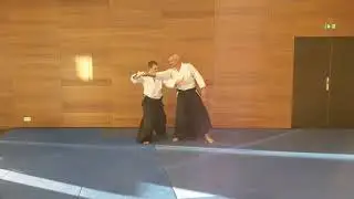 Tachi waza, Shomen uchi, Ude kime nage