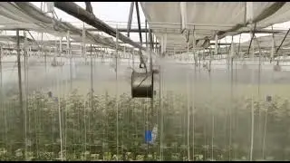 Mist Chamber Irrigation System [High Pressure Fogging System]