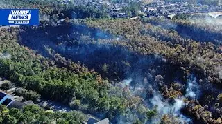 Forestry commission to lift burn ban for Horry County; wildfire 60% contained