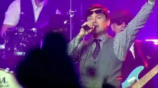 One Step Behind - Madness Tribute Band - Henderson Management
