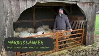 Markus Lanfer, Hochmooraner Moorschnucken (Partnerbetrieb im M&uuml;nsterland) | Was ist es dir wert?