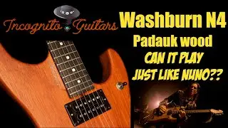 Washburn N4-Nuno Padauk USA - INSANE HARMONICS !!!!