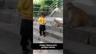 Memecoin Alınca Grafikle Bakışmak