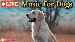 🔴24/7 Dog TV🎵🐶Calming Music for Dogs🐶💖Soothing Music to Ease Separation Anxiety in Dogs🔴14