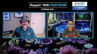 Rappin' With ReefBum: Guest Rich Ross, Biologist