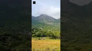 A distant view of a snow-capped mountain🏞️