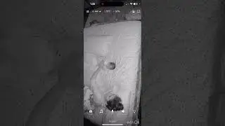 Nanit #Nanit #babycamera