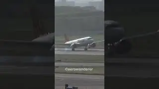 TIGER AIR TAIWAN A320NEO landing at Taipei Airport #shorts #aviation #tigerair #a320 #landing
