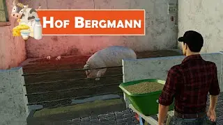 LS19 HOF BERGMANN #295: Versorgung unserer Ferkel im Schweinstall | LANDWIRTSCHAFTS SIMULATOR 19