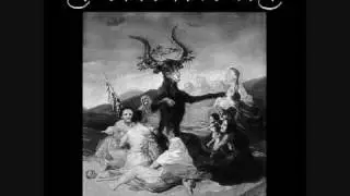 Venomous - Black Magic