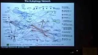 Proteomic & Genetic Analysis of the Ubiquitin System