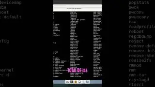 Aprenda a Navegar pelos Diret&oacute;rios do Linux Comando B&aacute;sico de Navega&ccedil;&atilde;o
