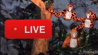 1000 sub special 😁😁😁😁😁