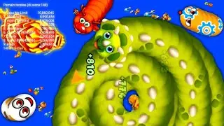 CACING DINO VS CACING BESAR ALASKA - WORMS ZONE #wormszone #cacingbesaralaska #xmoodroy