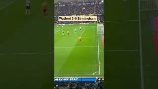 #watford #birmingham #bcfc