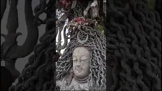 Temple In My Dream Chail | Stoned Shiv Temple Chail #shorts #short
