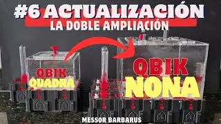 # 6 ACTUALIZACIÓN HORMIGAS MESSOR BARBARUS 