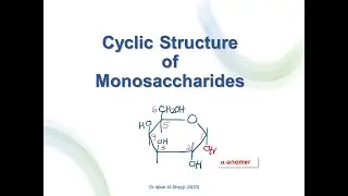 2. Cyclic Structure of Monosaccharides