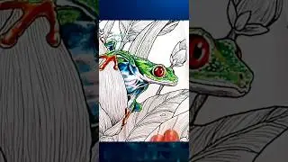 Coloring a frog with Colored Pencils