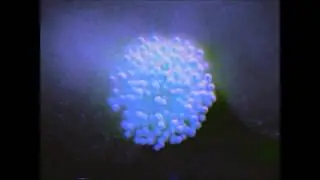 Adam Jay - Stasis