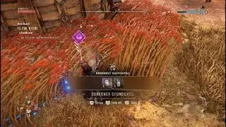 Horizon Forbidden West Get Burrower SoundShell