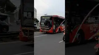Bus SUROBOYO