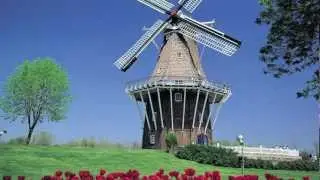 Holland Tulip Time Festival | Pure Michigan