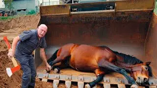 SHE COULDN'T EVEN STAND... MIRACLE HOOF RESCUE &ndash; YOU WON'T BELIEVE THE TRANSFORMATION!