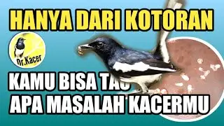 KENALI MASALAH KACER DARI BENTUK KOTORANNYA | DR KACER