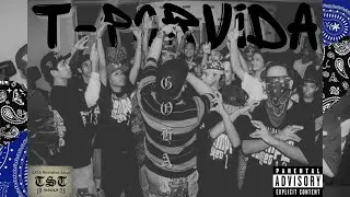 Gohan - T-Porvida