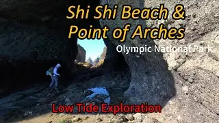 (Re-upload) Low Tide Exploring Shi Shi Beach - Almost Stuck When Tide Came In | Silent ASMR Hiking