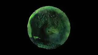 SUNKEN SKULLS - Live At La Sala Rossa (2007) 12