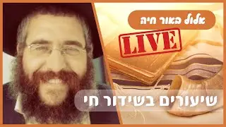 מכון אור חיה - שיעורי ערב לחודש אלול עם הרב זילברשטרום, הרב לוי, והגב' דניאלה גולן | ט