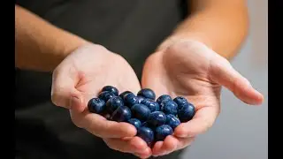 Top 6 Antioxidant Rich Superfoods