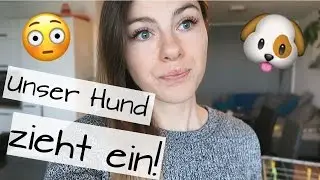 Unser Hund zieht ein! - Vlanuar #8 - FOXILOVES